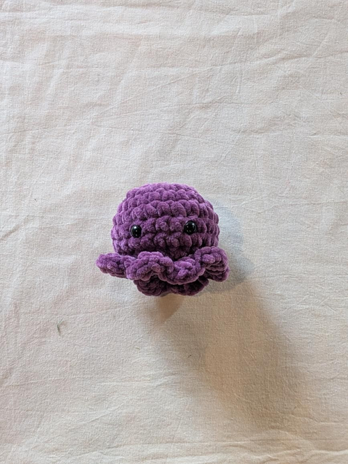 Poulpy Violet