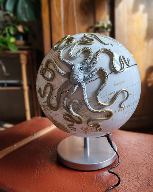 Grand globe terrestre lumineux