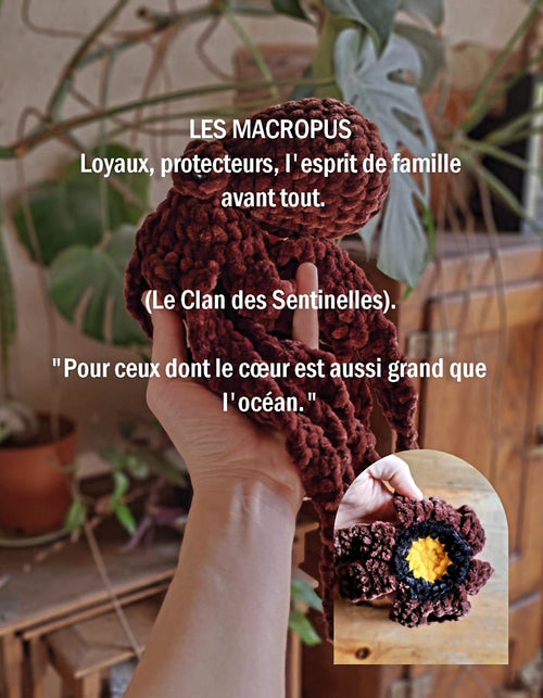 Choixpoulpe
