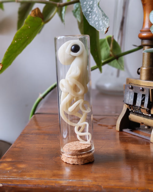 Kraken de lune Phosphorescent